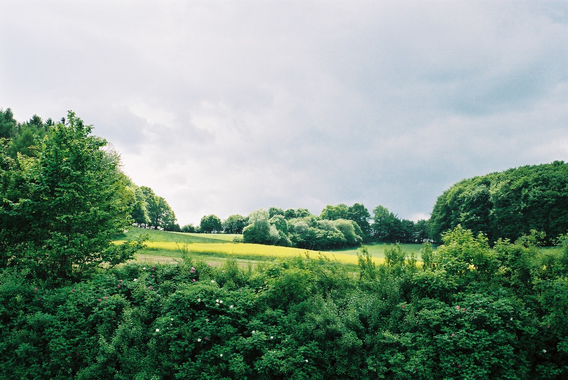 Teutoburger Wald bei Hörste