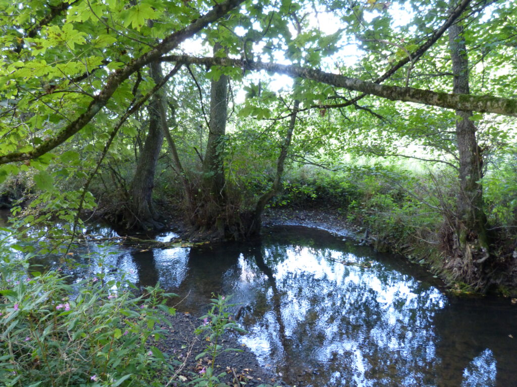 Bega bei Dörentrup