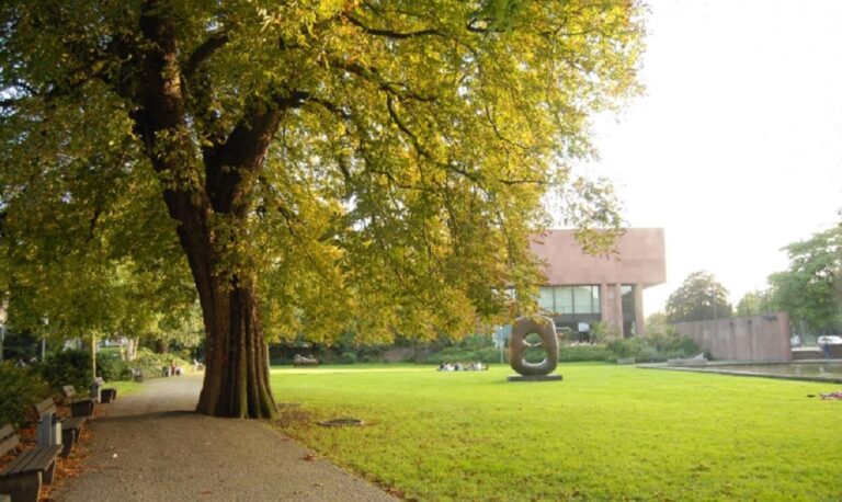 Kastanie Kunsthallenpark Bielefeld