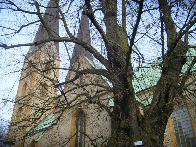 Friedenslinde Bielefeld mit Neustädter Marienkirche